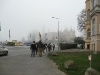 img_0695_0.jpg