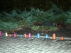 IMG_9393-1