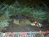 IMG_9406-1