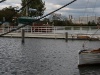 IMG_8559-1