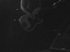 The Subways