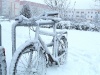 winter_in_greifswald_04_05_0020.jpg