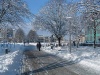 winter_in_greifswald_04_05_0029.jpg