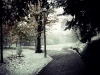 Fotowettbewerb - Winter