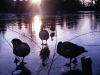 Fotowettbewerb - Winter