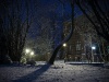Fotowettbewerb - Winter