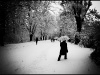 Fotowettbewerb - Winter