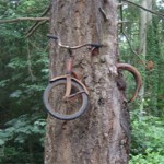 fahrrad_baum-280x246-cornelia_bertram_via_jugendfotos_de