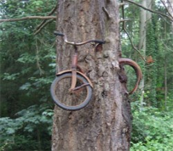 fahrrad_baum-280x246-cornelia_bertram_via_jugendfotos_de
